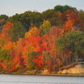 Fall Foliage Predictions for Indianapolis: What to Expect This Season